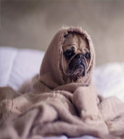 大理有这样的手机号码，留不住钱，你中枪了吗？