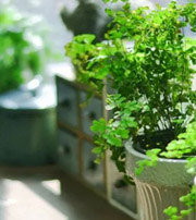 大理专属于你的开运指南，助你鸿运当头福满身！