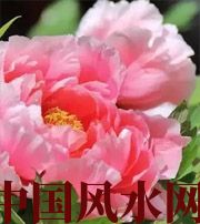 大理预示你财运上升，姻缘可成的梦境，快来看看吧！