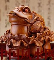 大理解读金蟾最合适的位置，这样摆放更招财！