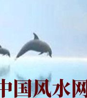 大理做梦梦到这些，是要富裕的征兆！