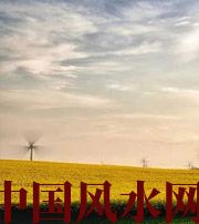 大理风水知识：家里怎么布置财运更好？