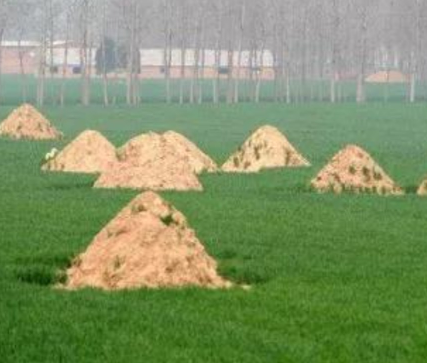 大理阴宅风水：形峦三十六绝